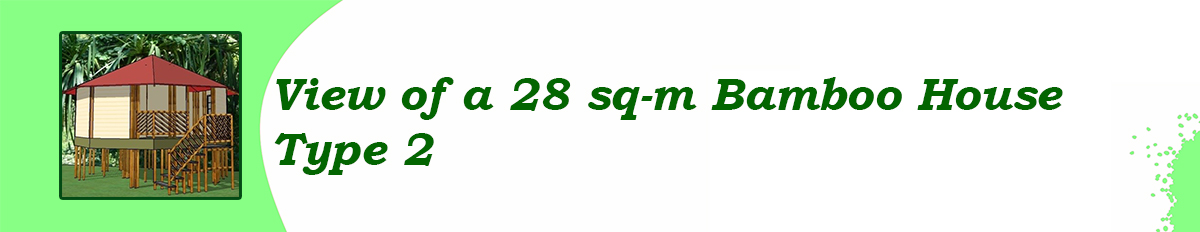 Green Bamboo Banner 1