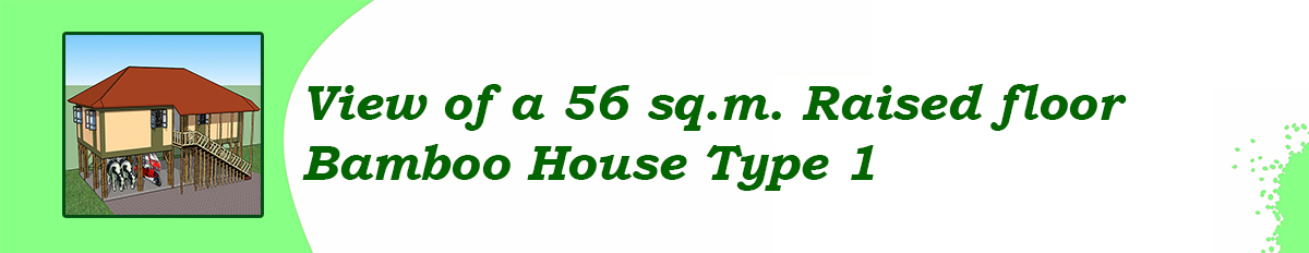 Green Bamboo Banner 2